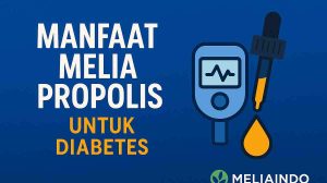 Melia Propolis untuk Diabetes