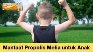 Manfaat Propolis Melia untuk Anak