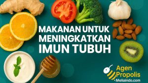 Makanan untuk Meningkatkan Imun Tubuh