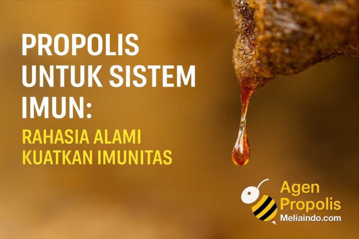 Propolis untuk Sistem Imun