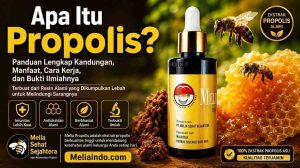 Apa Itu Propolis