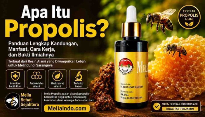 Apa Itu Propolis