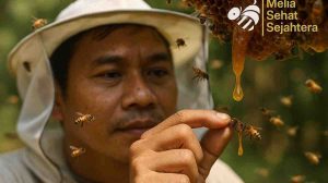 Asal Usul Propolis