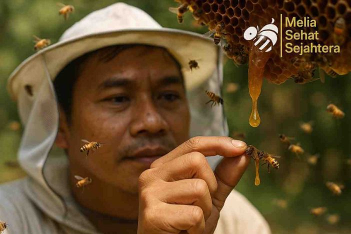 Asal Usul Propolis