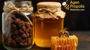 Propolis vs Madu